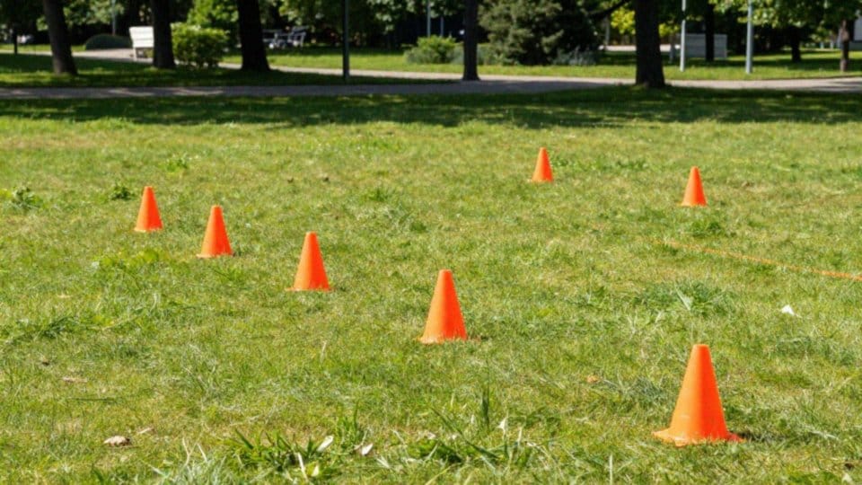 Czy slalom tyłem poprawia kontrolę tylnych łap?
