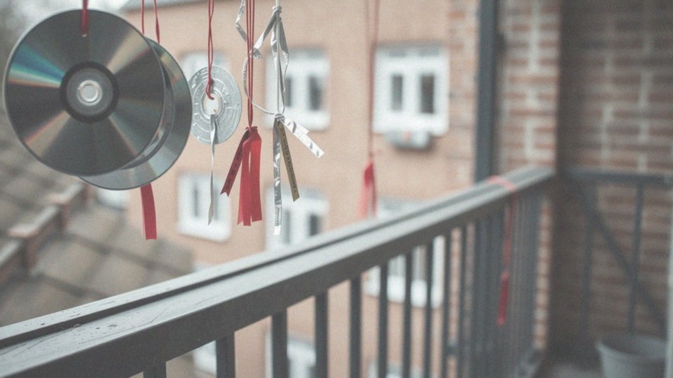Jak odstraszyć ptaki? Skuteczne domowe sposoby na ich zniechęcenie